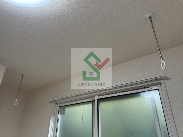 ブルーデイジーのその他