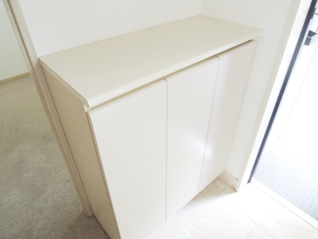 川口中青木パークホームズの玄関|別号室の参考写真です。