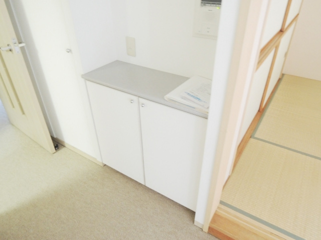 川口中青木パークホームズの収納|別号室の参考写真です。