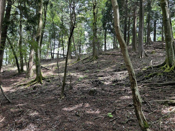 【外観】 | 東急天城高原　売地