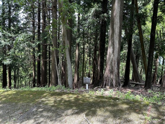 【外観】 | 東急天城高原　売地