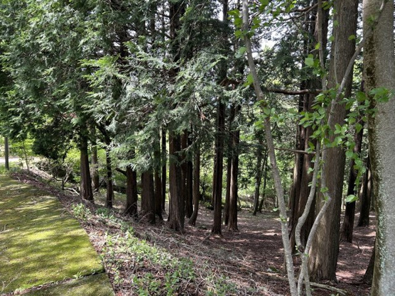 【外観】 | 東急天城高原　売地