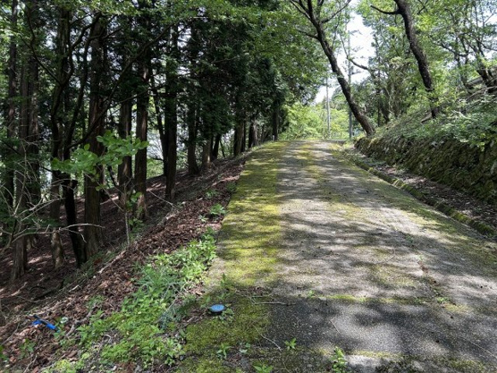 【前面道路含む現地写真】 | 東急天城高原　売地