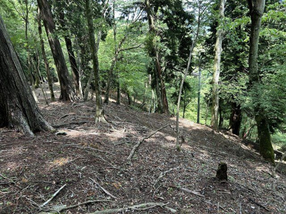 【外観】 | 東急天城高原　売地