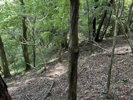 【外観】 | 東急天城高原　売地