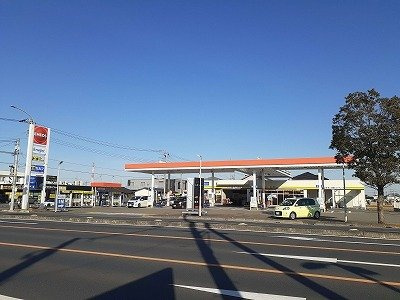 ヴィオラ・Ｙの周辺|エネオスまで950m