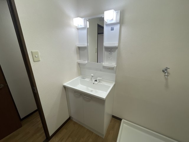 キャッスルコート御立唐立の洗面所