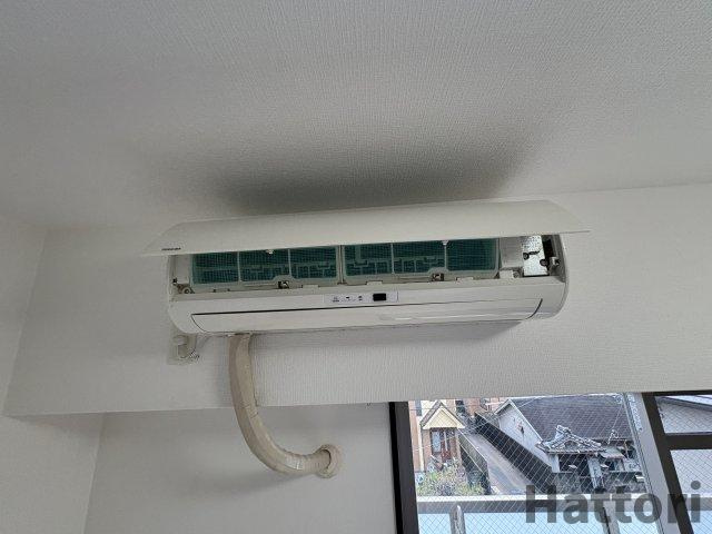 エクセル服部のその他