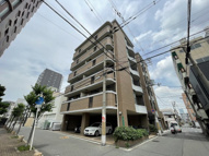 グレイスパインの画像