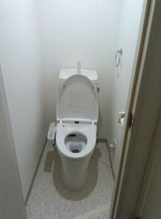 さいたま市南区文蔵３丁目の賃貸マンションのトイレ