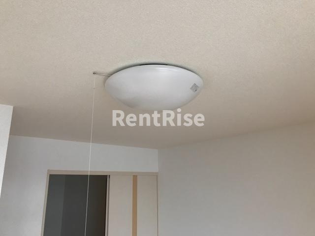 ティアリークリスタルのその他|照明(イメージ)