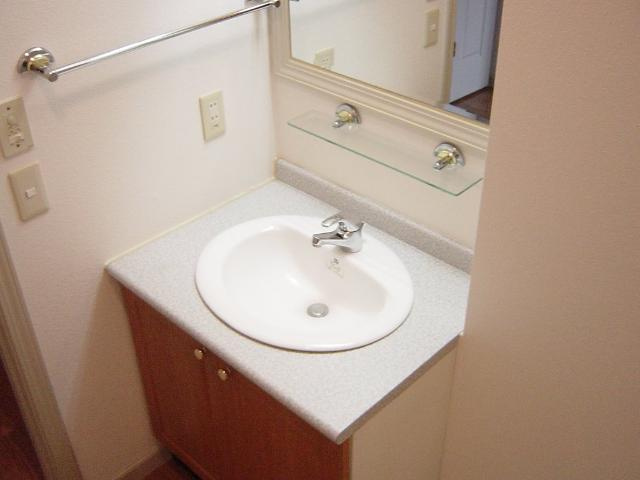 ティピカルハウスの洗面所|洗面