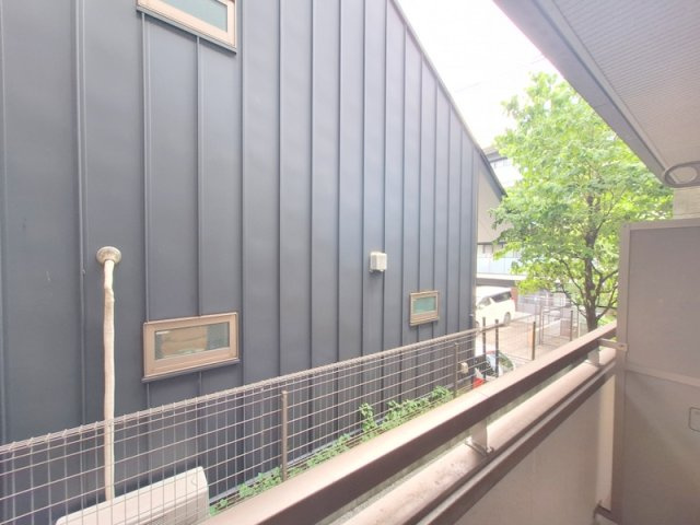 フェアリーリングの展望
