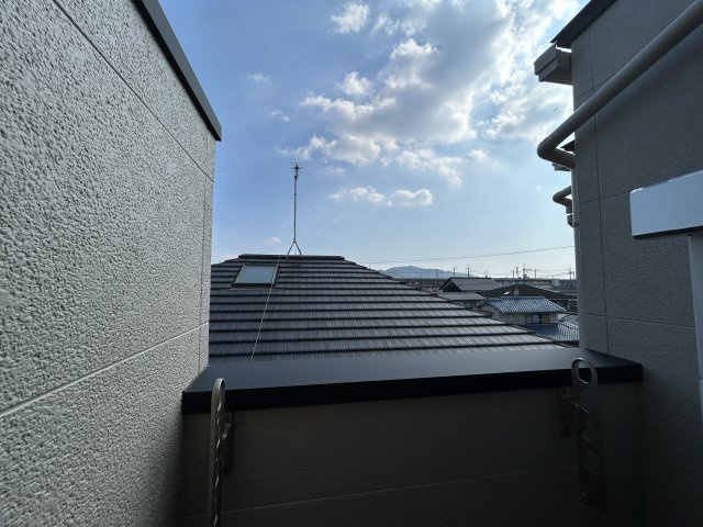 【庭】ADC高島Mei