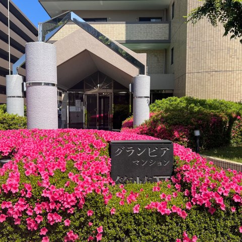  | グランピアグーテンハイツ箱崎Ⅴ | エントランス前はきれいに整えられた植栽があり爽やかな雰囲気を醸してくれます