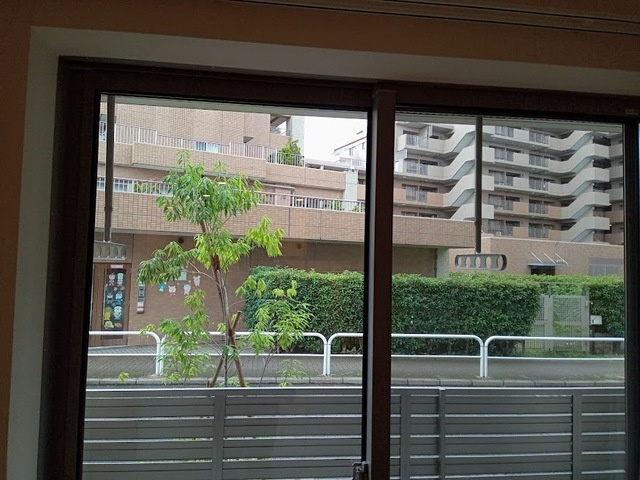 ヴィセーナの展望