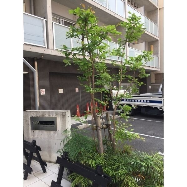 ルクレ新町レジデンスの設備