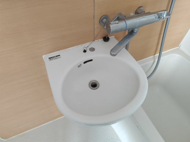 グローバルハウスの洗面所