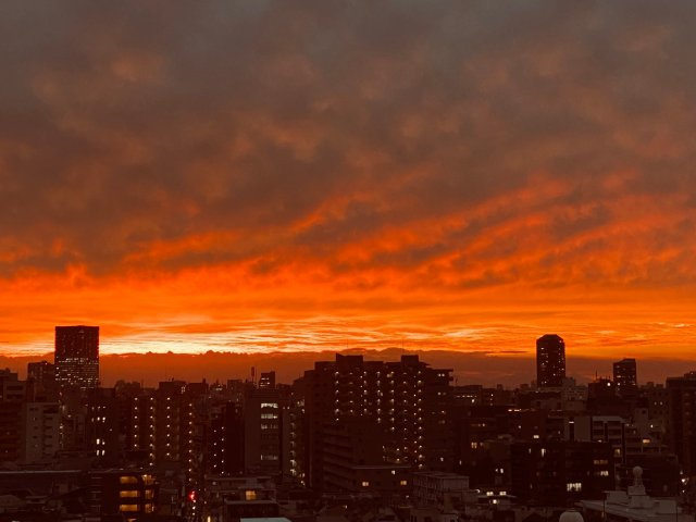 パークコート神楽坂の展望