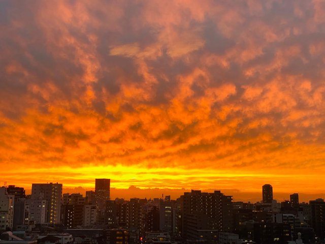 パークコート神楽坂の展望