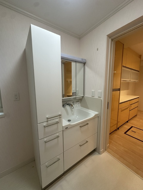 連島中央　売家の独立洗面台|収納充実の洗面化粧台