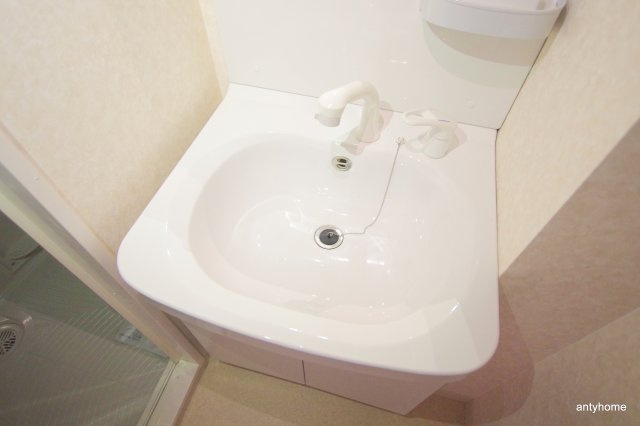 Luxe難波西3　仲介手数料無料の洗面所