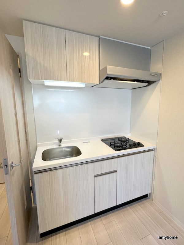 エスグランデ難波グランツ　仲介手数料無料のキッチン