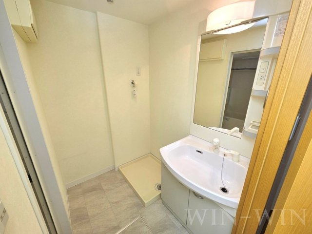 ルネスグランドール Ⅱの洗面所