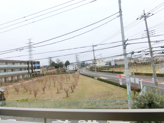 ＷＨＩＴＥ　ＣＯＵＲＴの展望