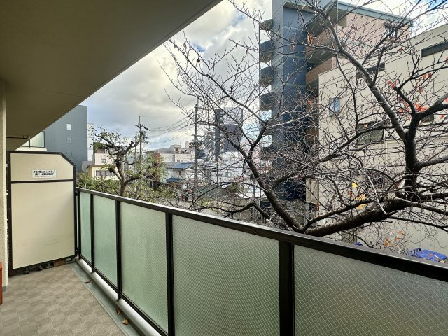 【展望】の画像