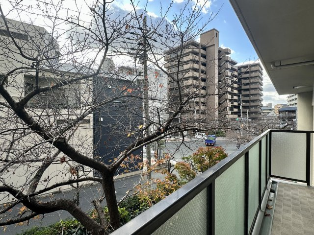 【展望】の画像