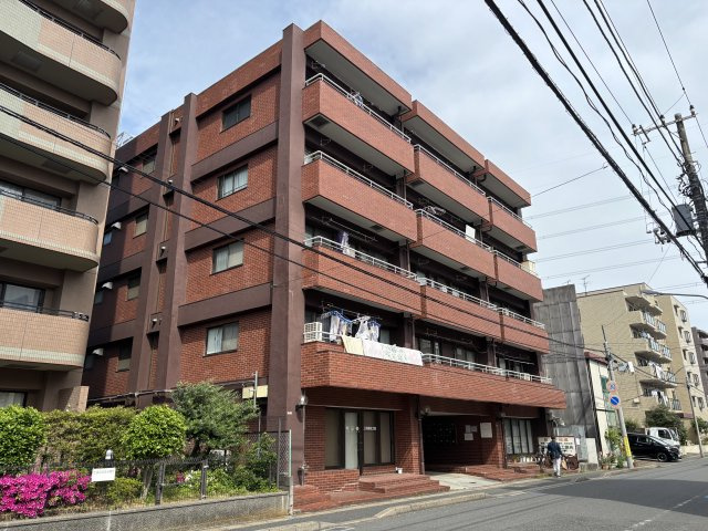 イグレットNO.1の画像