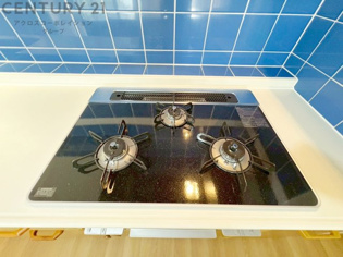 多数の調理器具を同時に使用でき、料理の効率化が可能。省エネで節約になり、様々な料理スタイルに適応できます。また、火力調整が独立しており、手入れや掃除もしやすく、今よりもっとお料理が楽しくなるかも。
