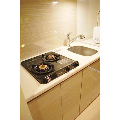 プレセダンヒルズ門前仲町の内装|物件の内装です