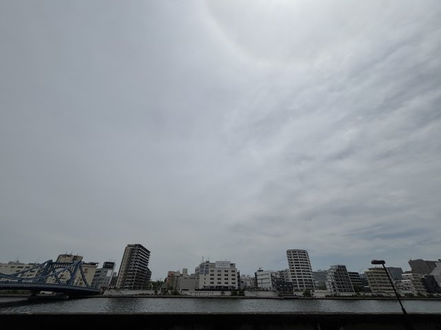 パシフィック浜町の展望