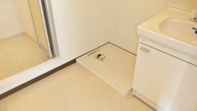 フレア・ウイング林の洗面所|室内洗濯機置き場