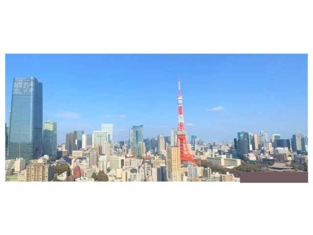 シティタワー麻布十番の画像