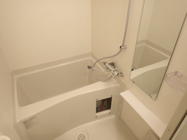 プレサンス南森町ライズの浴室