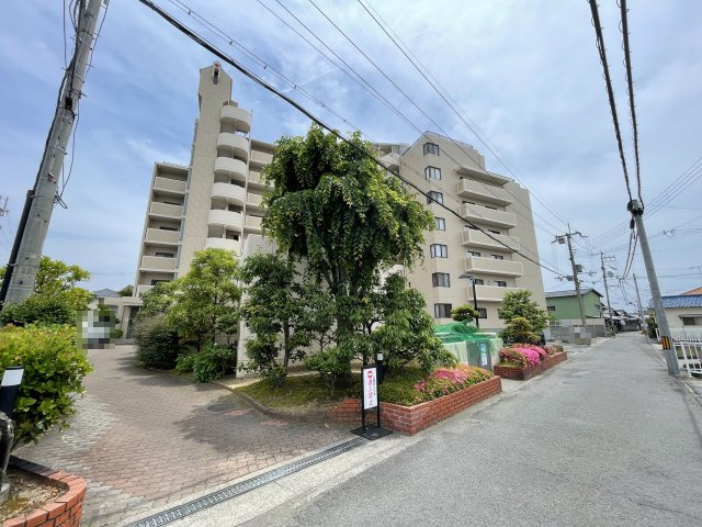 チサンマンション紀の川・ｵｰﾅｰﾁｪﾝｼﾞ・54674の周辺