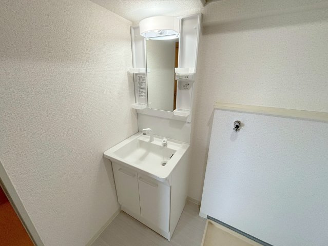 メゾンサクラ9の洗面所