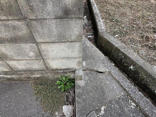 下泉町１丁目　売土地の外観|外観写真