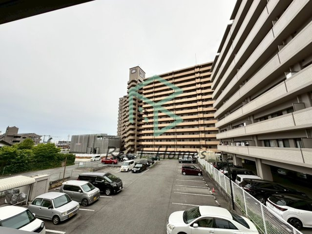 エスペランサオアシスの展望