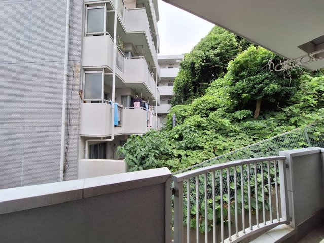 湘南ＨＯＺＵＭＩの展望