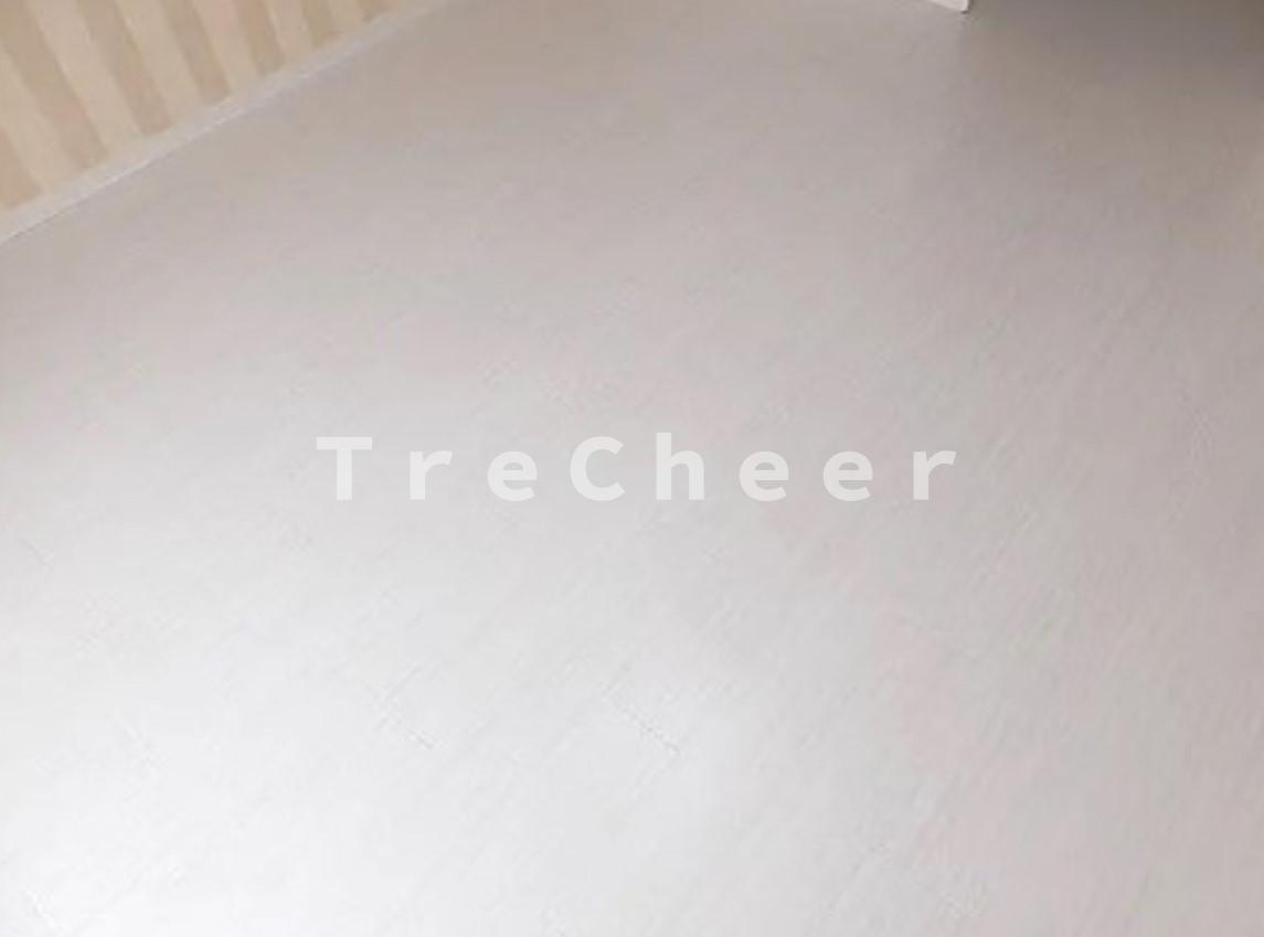 プレミアム成増の洋室