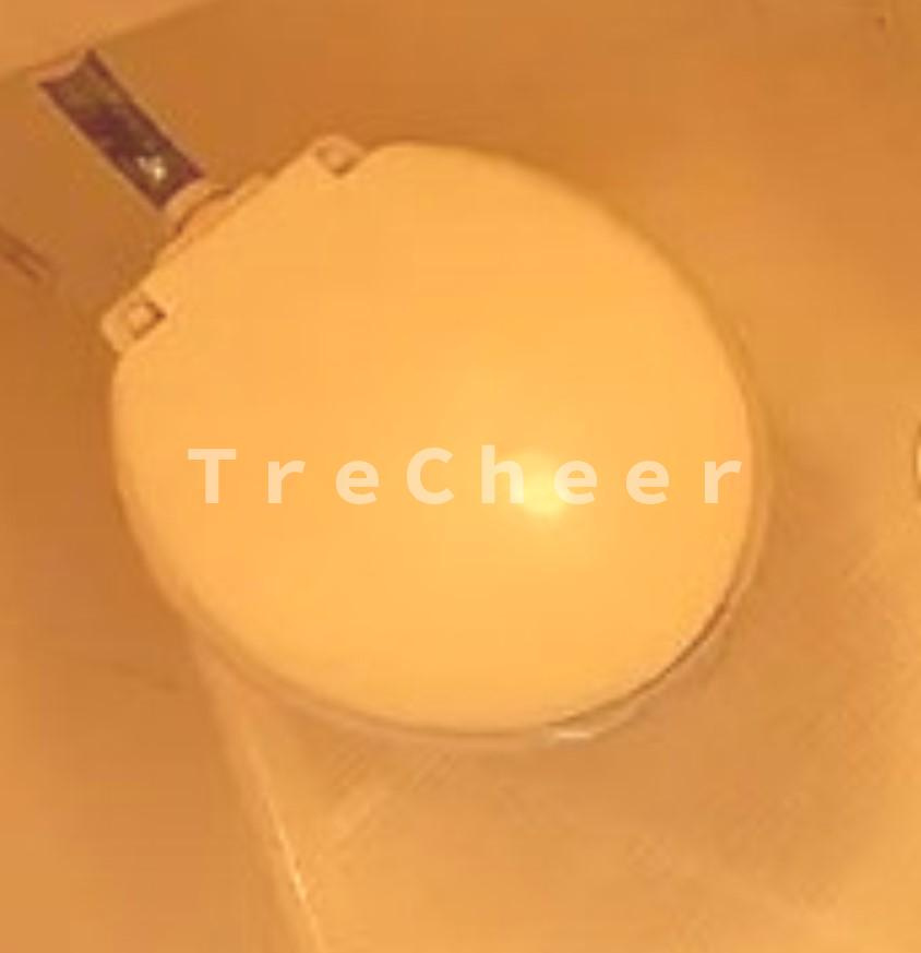 プレミアム成増のトイレ