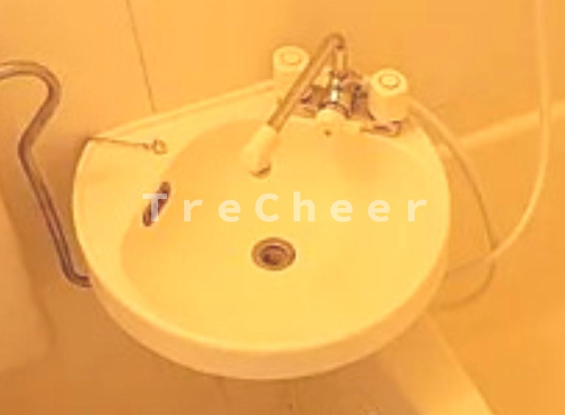 プレミアム成増の洗面所