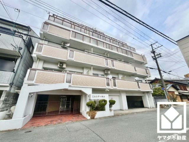 エルシティ桃山の外観