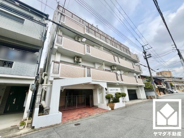 エルシティ桃山の外観