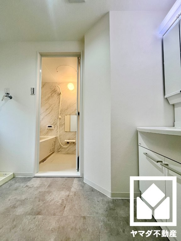 エルシティ桃山の洗面所