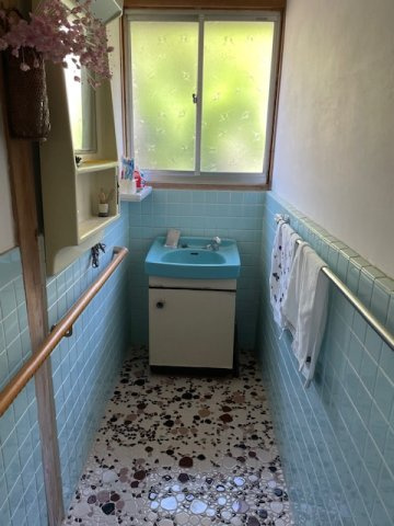 北波多竹有売家の洗面所